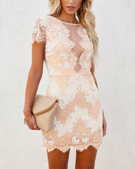 Clidress O Neck Lace Mesh See Through Dress
