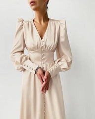 Clidress Lantern Sleeve Noble Silk Feel Dress