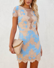 Clidress O Neck Lace Mesh See Through Dress